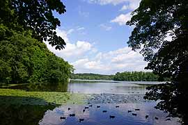 Großer Eutiner See