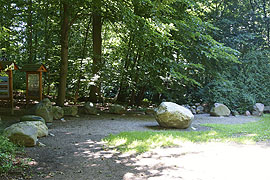 Eiszeitlicher Gesteinsgarten in Malente