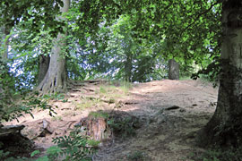 Burg Gosefeld - Räuberhöhle