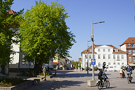 Friedenslinde in Ratzeburg