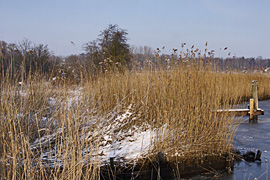 am Schellbruch in Lübeck