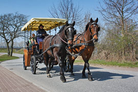 Parkwagen Holsteinischer Kutschfahrten Tamm