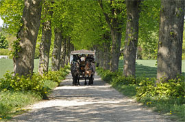 Planwagen - Holsteiner Kutschfahrten Tamm