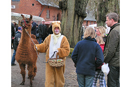 Osterhase mit Eier-Lama - Landgestüt Traventhal